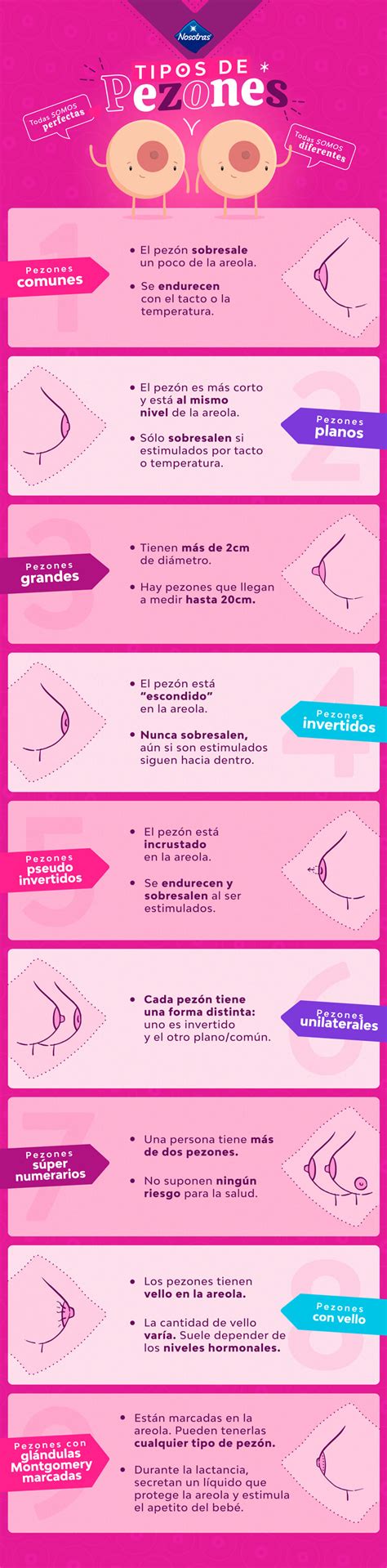 pesones grandes|Tipos de Senos Femeninos: Formas y Diversidad